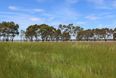 在中央西部维多利亚澳大利亚湖 Burrumbeet