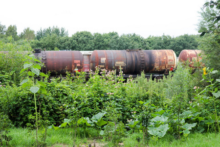 肮脏生锈的圆柱形铁金属铁路坦克车在绿色植物和树木的灌木丛中的铁路上的火车宽敞的汽车