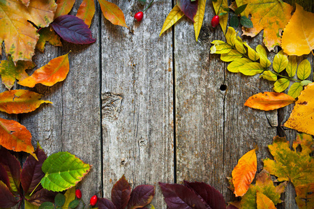 秋季背景与质朴木板风趣的红叶
