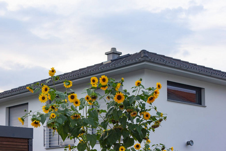 德国南部巴伐利亚农村现代建筑住宅小区