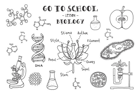 手工绘制的生物学迹象