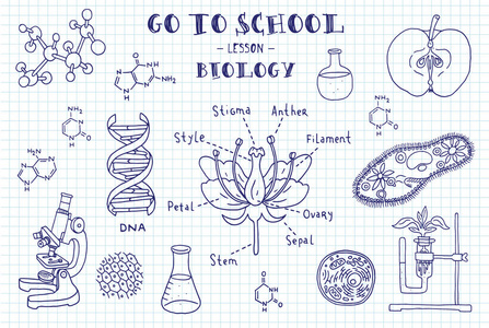 手工绘制的生物学迹象