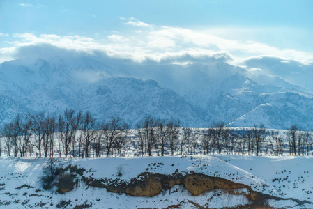 冬季景观。在雪山的背景下, 冬天的树木。山林。阳光明媚的冬日