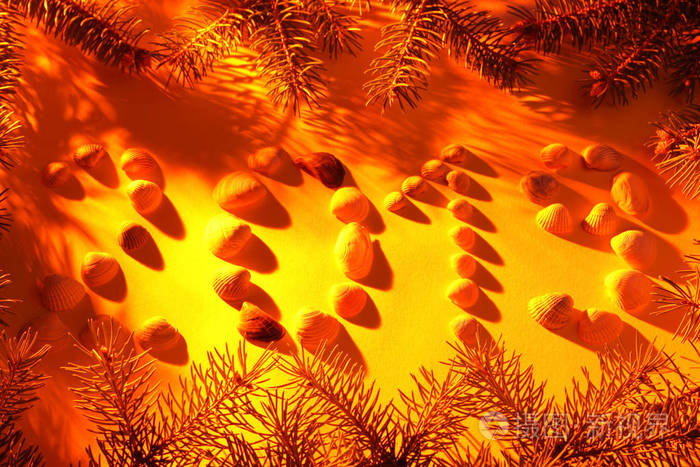2019年新年。2019年刻有贝壳制成的。创意贺卡的新年与冷杉分支。黄土猪年的模式。被划掉的橙色背景与圣诞树分支
