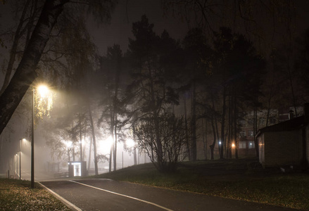 夜风景在 pekhorka 河路堤在冷的秋天雾