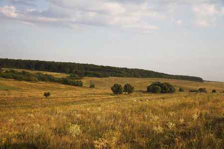 一个和平的乌克兰国家边的美丽景色