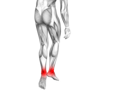 概念踝关节人体解剖学与红热热点炎症, 3d 例证人关节炎或骨骨质疏松症