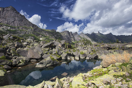 埃尔加基山西部的 sayans 在夏天