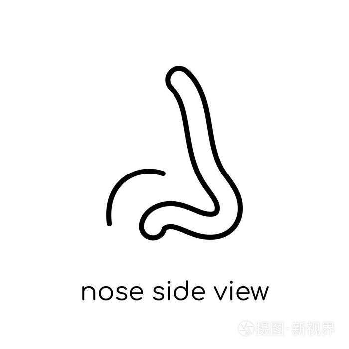 "鼻子侧视图" 图标.