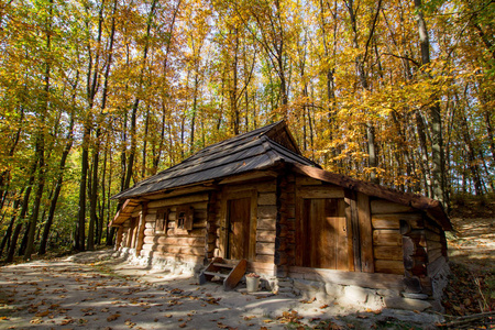 美丽的秋天森林里的老木屋
