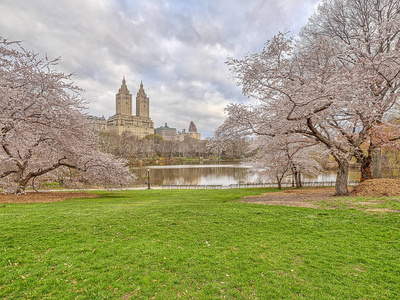 中央公园, 曼哈顿, 纽约市在春天