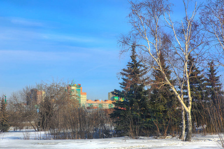 公园在冬季在市中心车里雅宾斯克俄罗斯乌拉尔