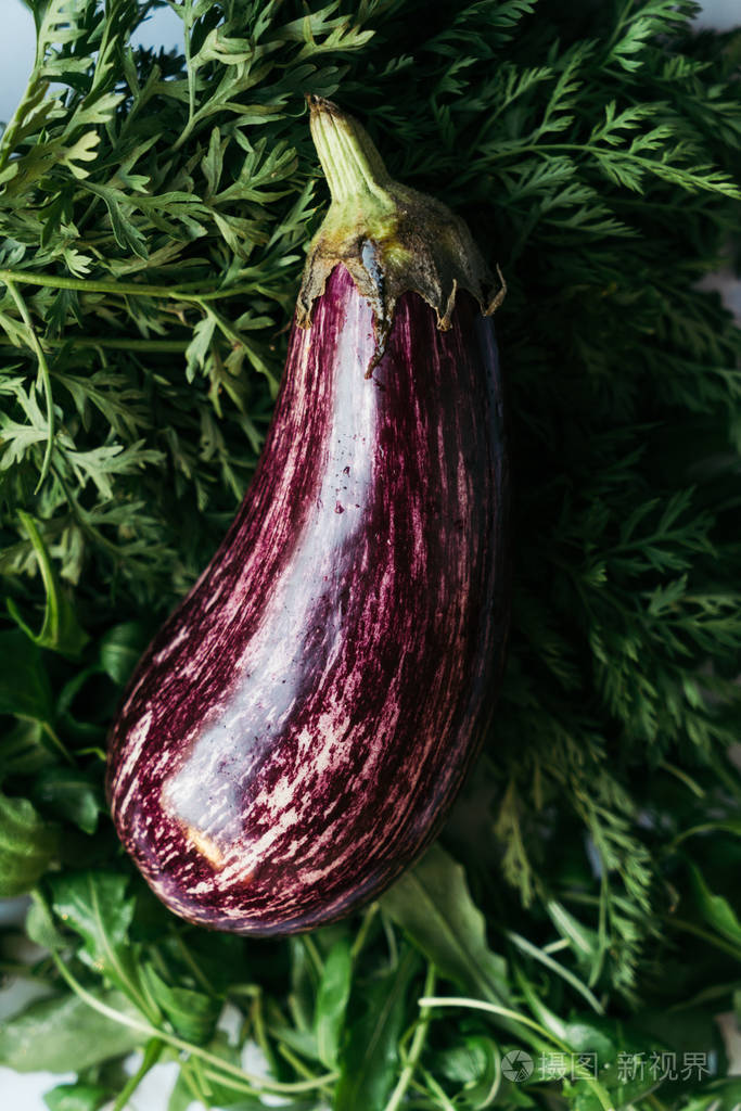原始的条纹的茄子照片-正版商用图片0thcr1-摄图新视界