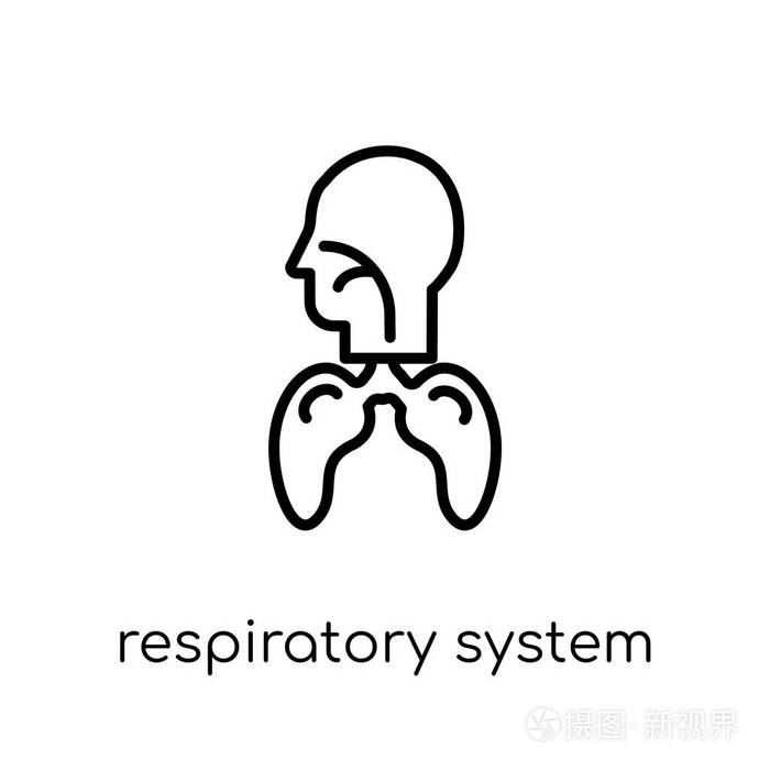 时尚现代平面线性向量呼吸系统图标在白色背景从细线人体零件汇集, 可