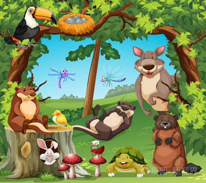 许多野生动物,生活在树林里