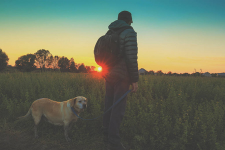 秋天, 一名带着拉布拉多猎犬的男子在田野里散步。男子把狗绑在皮带上, 凝望着日落