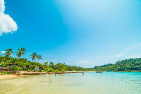 美丽的热带海滩和海与椰子棕榈树在天堂海岛为旅行和假期