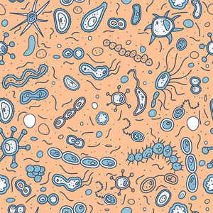 矢量细菌细胞无缝模式