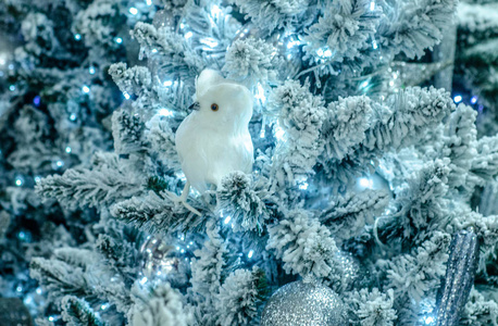 圣诞树上的雪