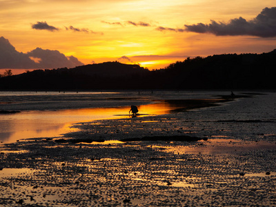 在一个美丽的甲米泰国海滩上的日落剪影。金色天空日落柔软光滑的沙滩