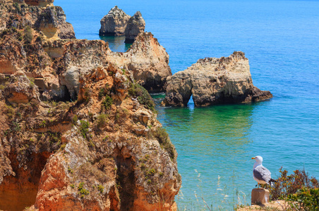 夏季大西洋岩石海岸线葡萄牙阿尔加维。
