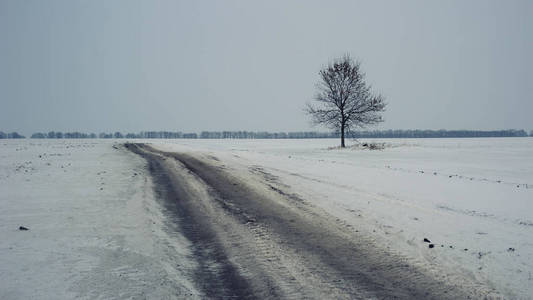 积雪的路上和孤独的树