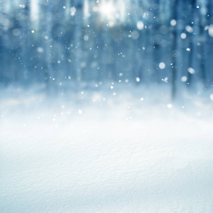 冬天的背景下，雪落冬季景观与副本空间