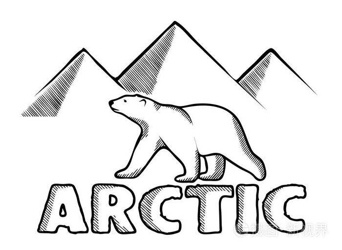 北极的北极熊象征