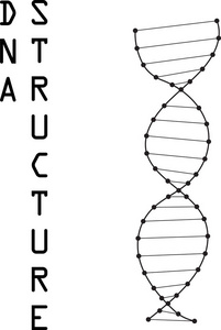 Dna 符号的插图