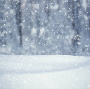 冬天的背景下，雪落冬季景观与副本空间