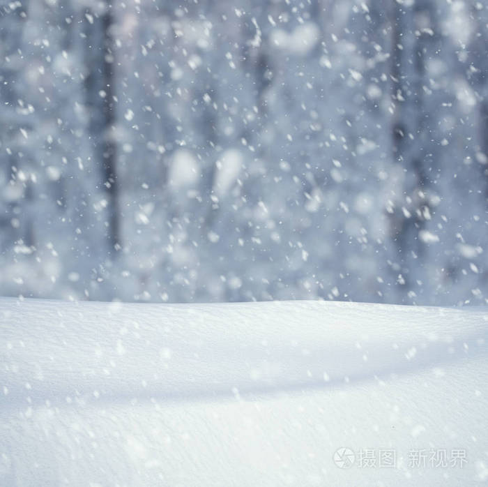冬天的背景下,雪落冬季景观与副本空间