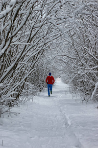 冬天雪体育人跑在树公园图片