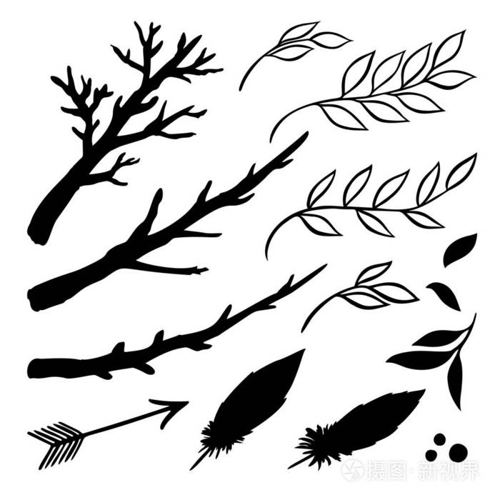 手绘的树枝,箭,羽毛,树叶.用于设计的矢量集集合涂鸦元素