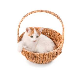可爱的小猫在柳条篮子白色背景