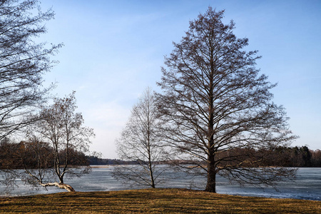 风景与湖被冰和树环绕以晴朗的春天或秋天天