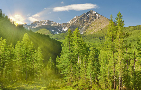 美丽的夏日风景，阿尔泰山俄罗斯