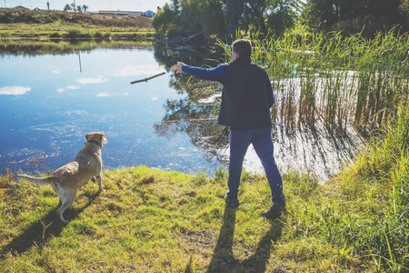 秋天, 一名带着拉布拉多猎犬的男子走在湖岸上。男子训练狗, 把棍子扔到水里