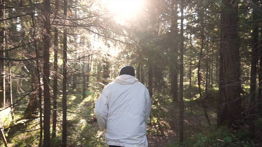 沿着小路穿过森林的人。镜头。人的后方视图单独。自然活动休闲的概念