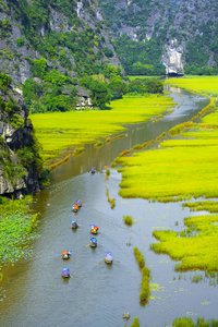 旅游观光船旅游观光看到稻田在河 非政府组织董 在 Tamcoc, 瑟纳姆, 越南