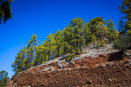 Teide 国家公园的美丽的风景, 特内里费岛, 加那利群岛, 西班牙