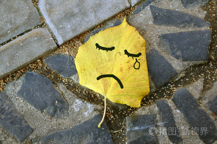 落在地上的黄叶悲伤地闭上了他的眼睛, 哭了起来
