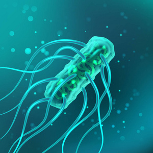 微生物菌细菌的载体, 伤寒沙门氏菌与鞭毛显微镜.