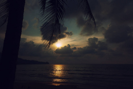 日落海滩用棕榈叶上