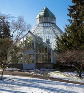 赖特公园 塔科马的植物园温室。市中心。冬季