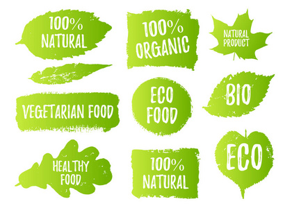 向量自然, 有机食物, 生物, 生态标签和形状在白色背景。手绘污渍, 树叶套