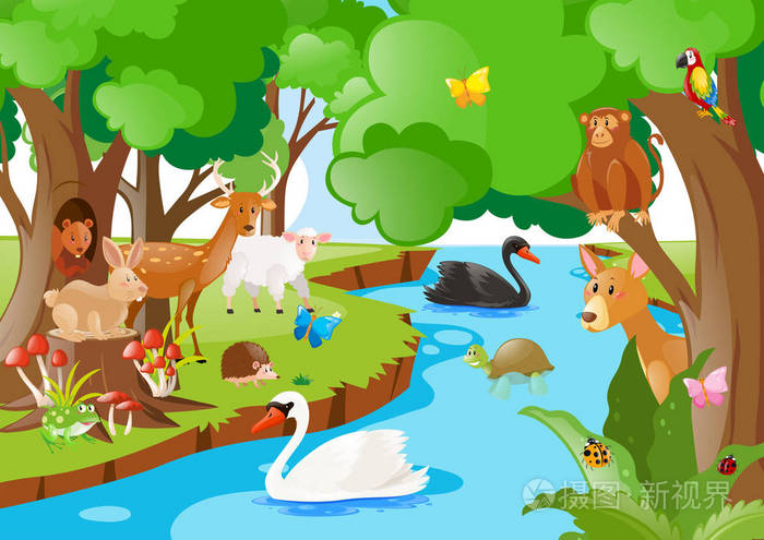 森林场景与许多种类的动物