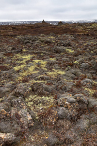 石质岩石荒凉的风景的冰岛。定了调子