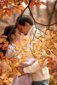在美丽的秋日, 情侣们在爱中拥抱