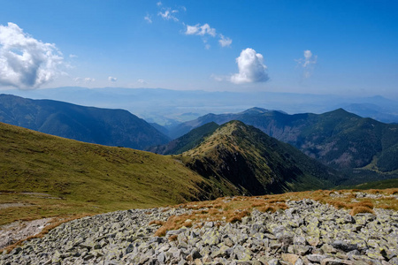 横向长方形西部塔图片