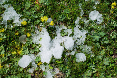 少量雪在绿草背景